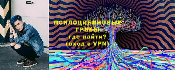 молекула духа Кулебаки