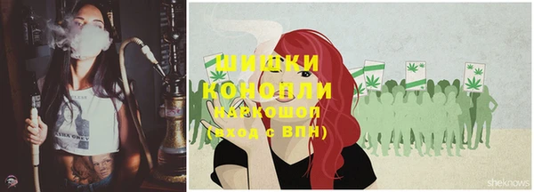 молекула духа Кулебаки