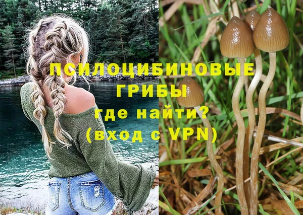 MESCALINE Кукмор