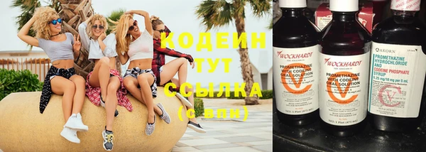молекула духа Кулебаки