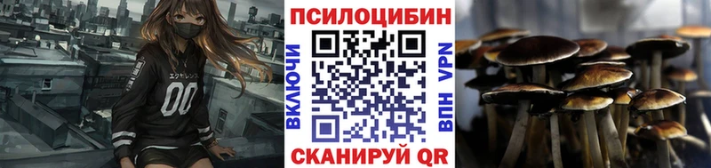 Купить где  Медынь  Галлюциногенные грибы мицелий 